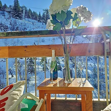 1650 - Mountain View - Snow Front - 2s02 *