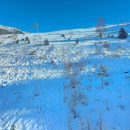 Apartment 1650 - Mountain View - Snow Front - 2s02 *